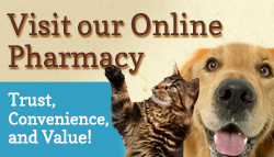 Online Pharmacy Banner